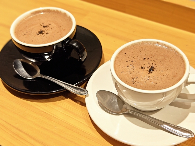 チョコレートとココアの違いは？成分や効果の違いについて解説