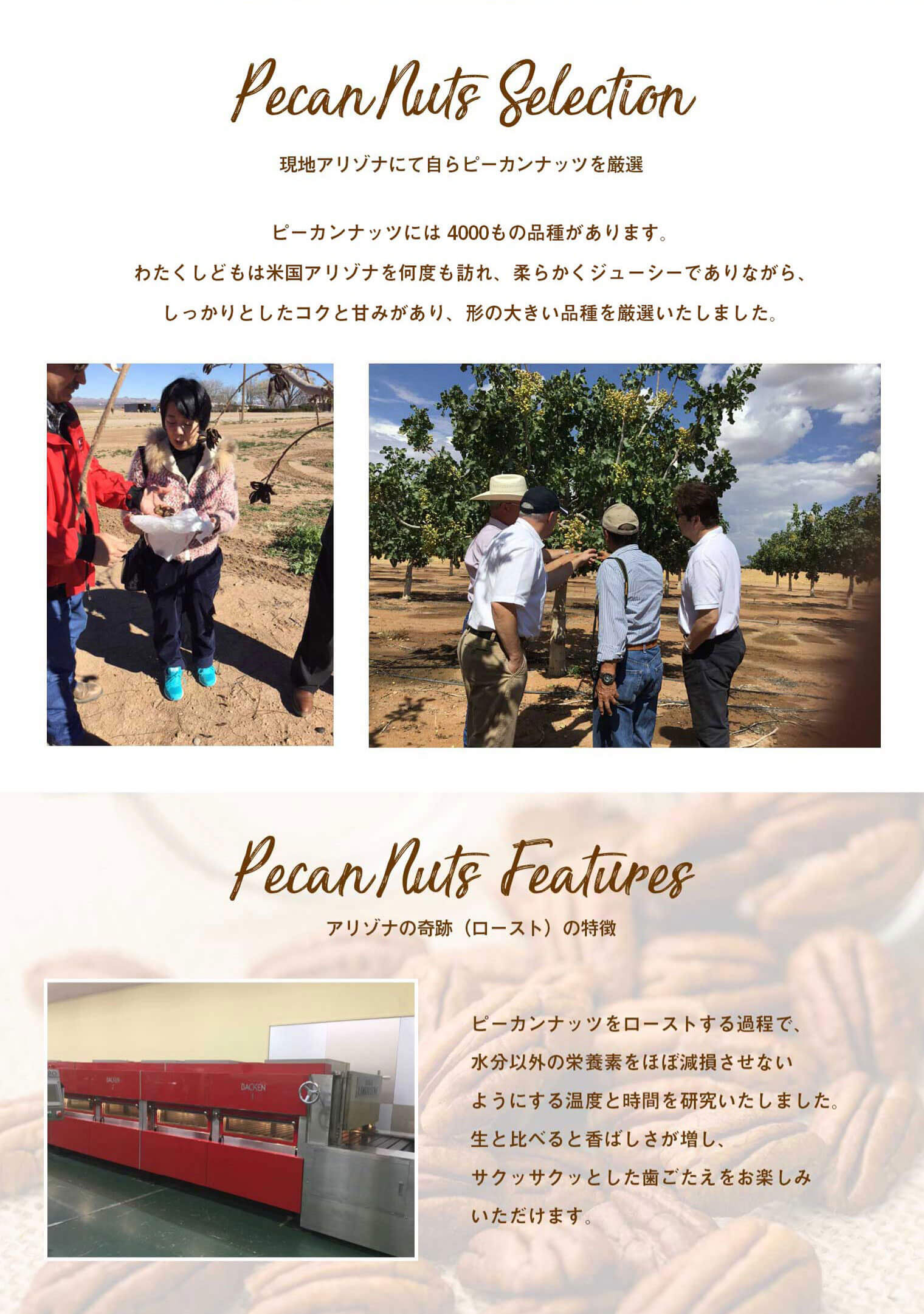 アリゾナの奇跡