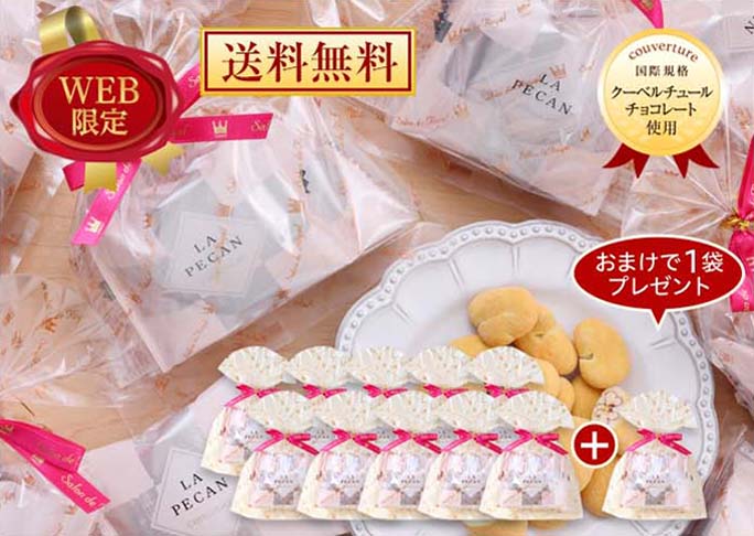 プチキャンディコートピーカンナッツチョコレート（48g）10袋まとめ買いセット+1袋おまけ