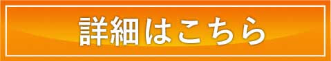 詳細はこちら