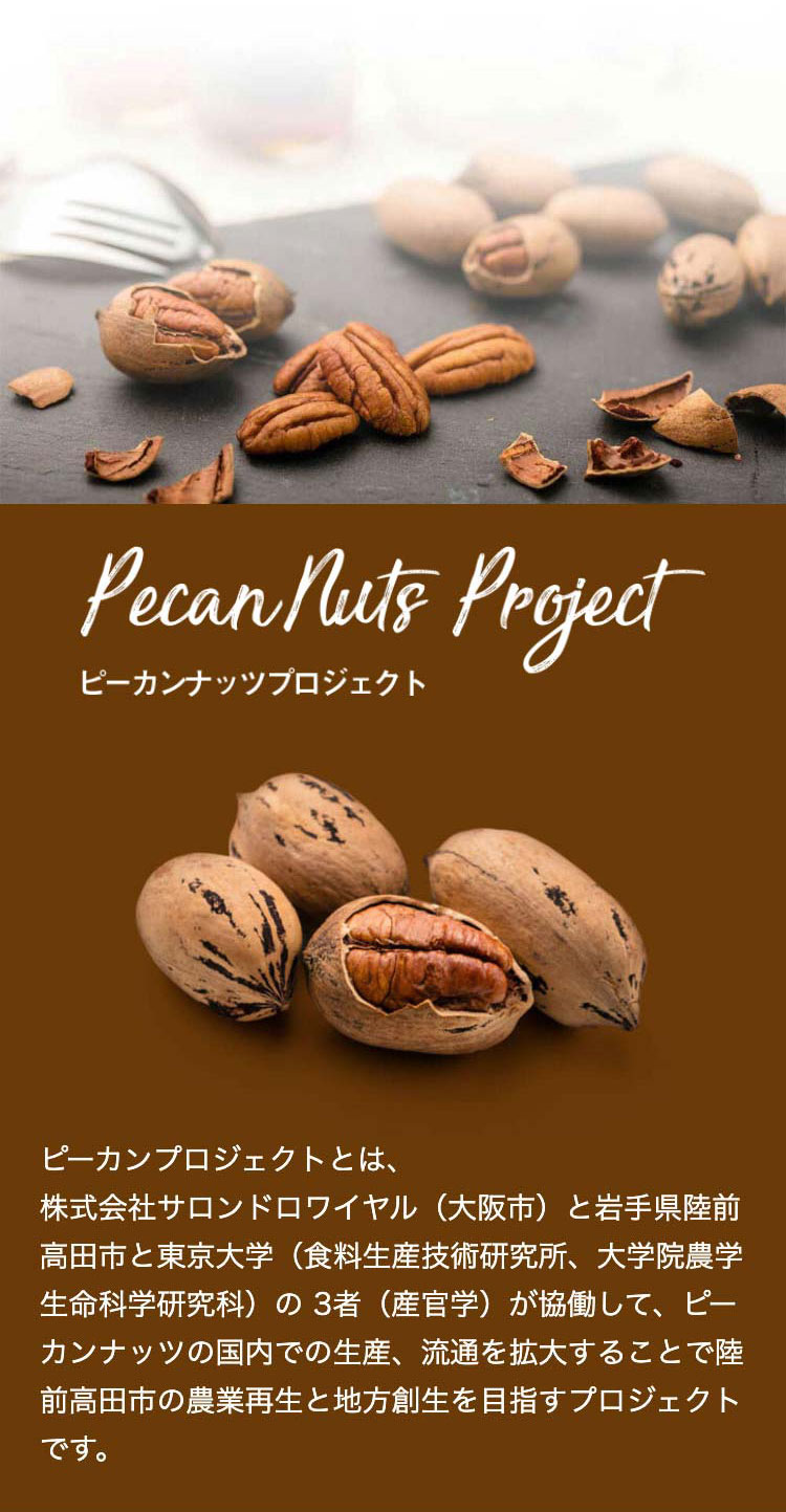 ゴールデンピーカンナッツ ロースト(小) 90g のプレゼントはギフト通販