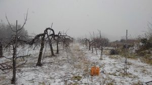 突然の吹雪