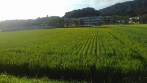 夕暮れと田園